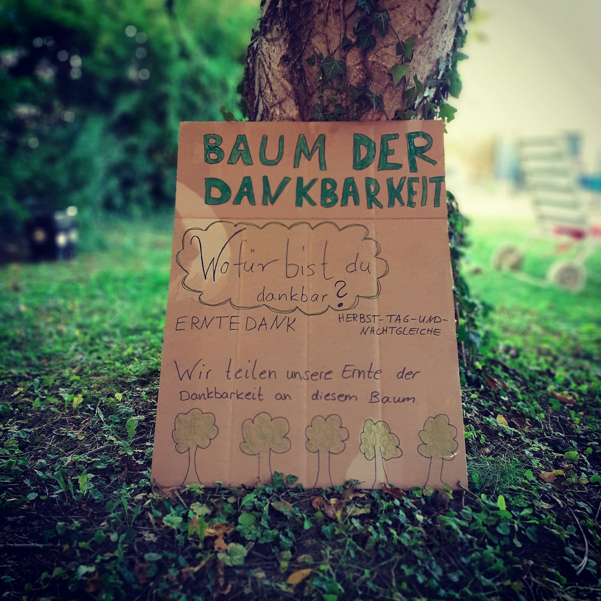 brown cardboard