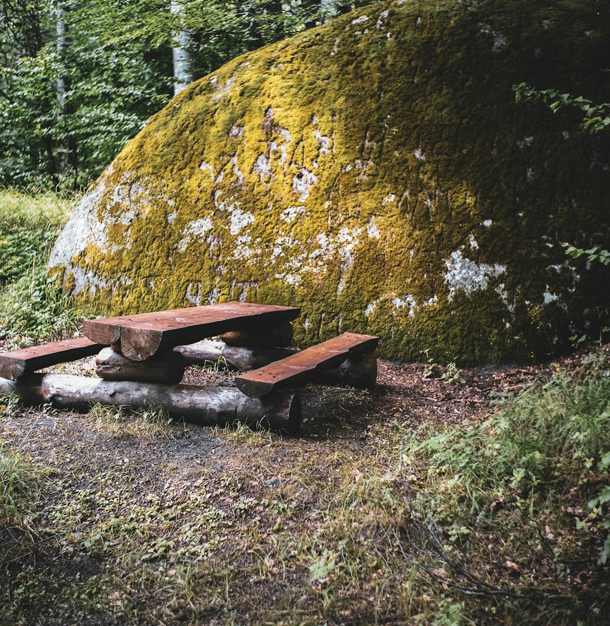 brown wooden picnic table near green trees during daytime