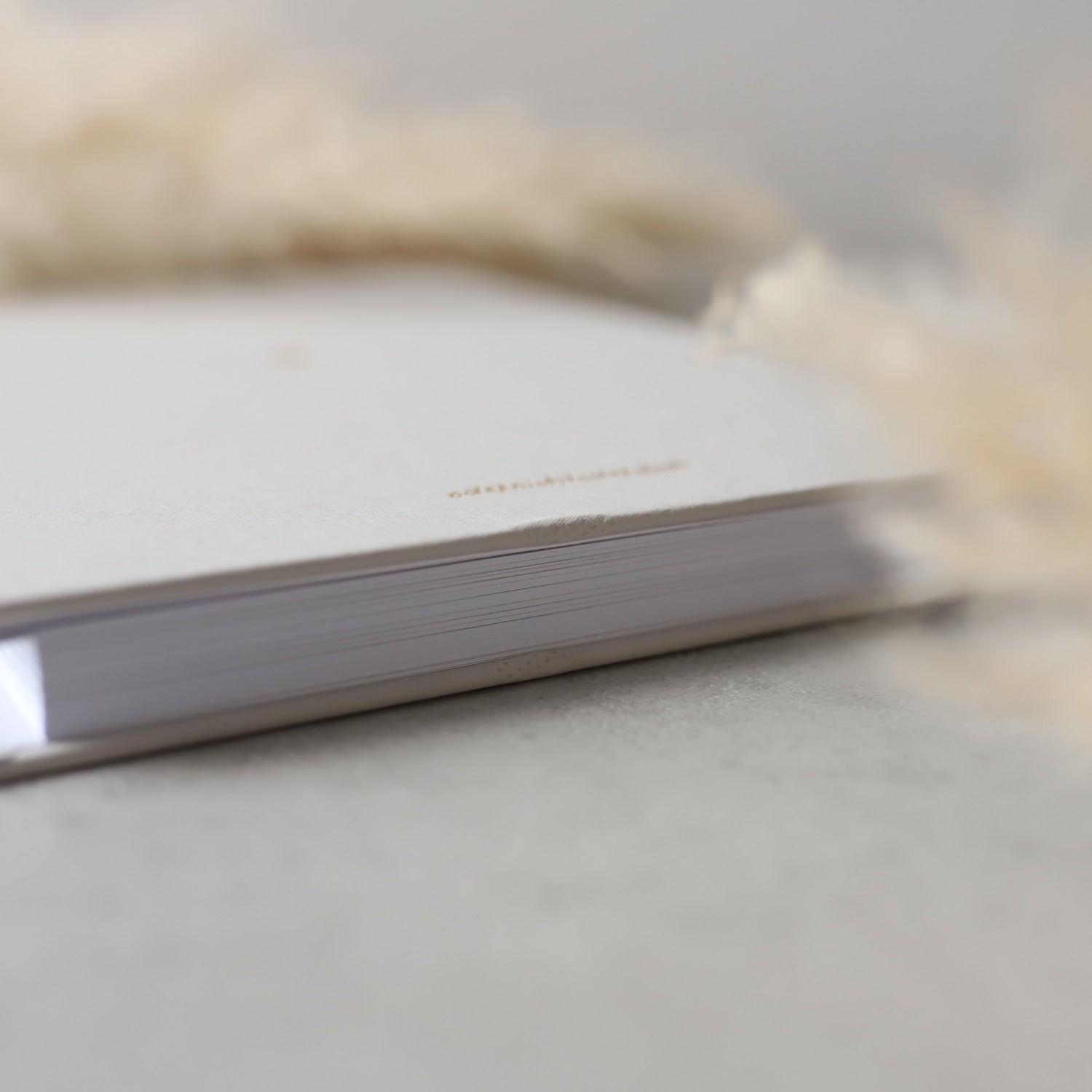 2. Wahl Hochzeitsplaner „Just Love"