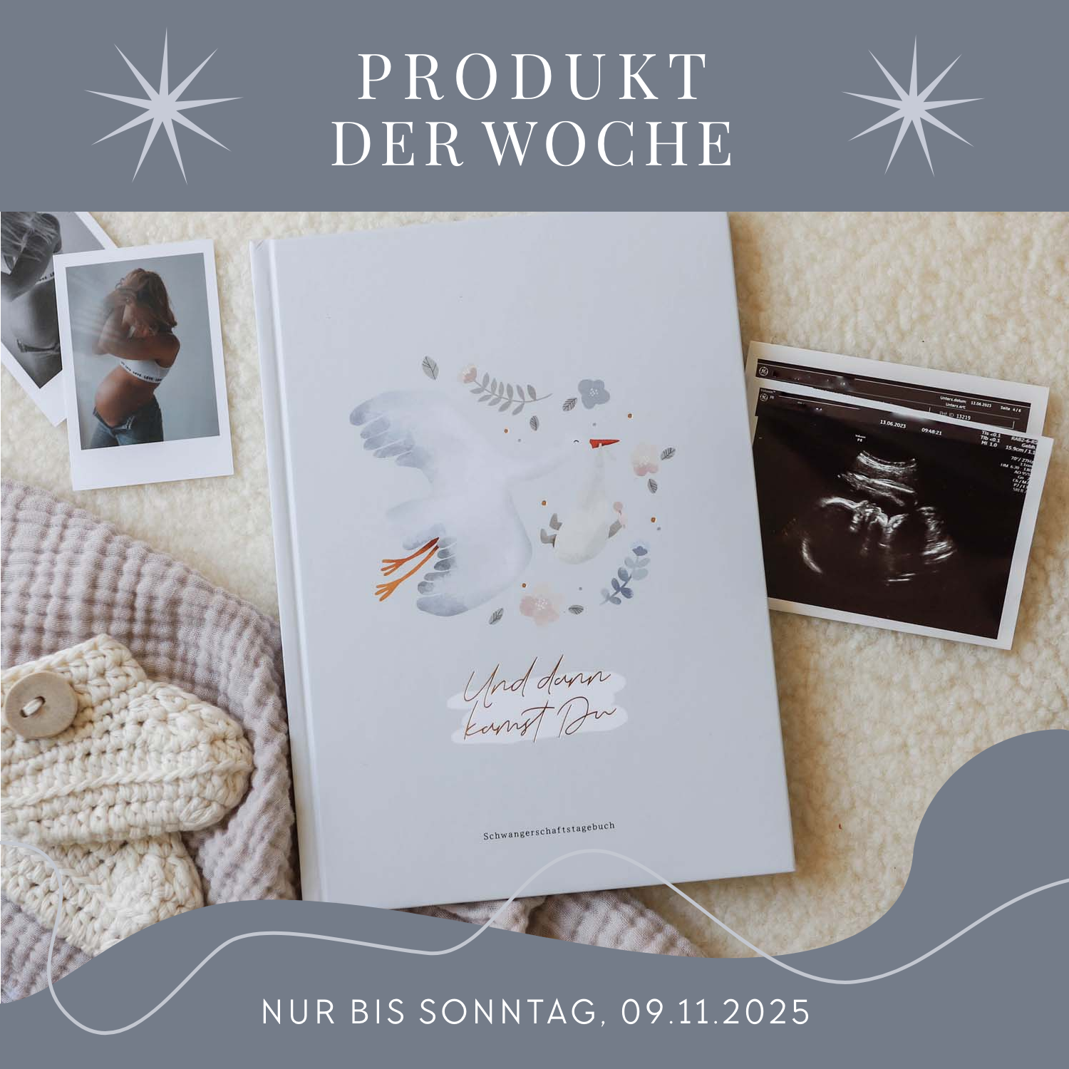 Tagebuch „Meine Schwangerschaft"