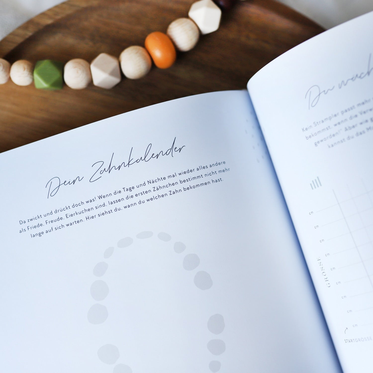 Bundle „Von Anfang an"